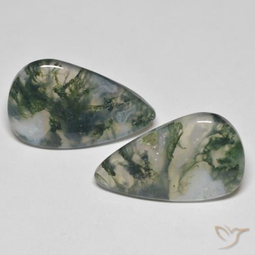23.83ctw Naturel Multicolore Agate mousse, En forme de poire, Transparent