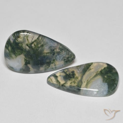 Shop natural 23.83ct Multicolore Agate mousse gems, En forme de poire, from Inde at GemSelect. In stock, global shipping!