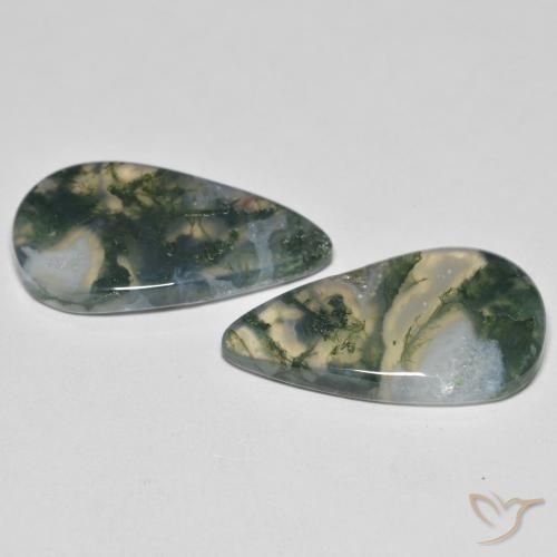 Shop natural 23.83ct Multicolore Agate mousse gems, En forme de poire, from Inde at GemSelect. In stock, global shipping!
