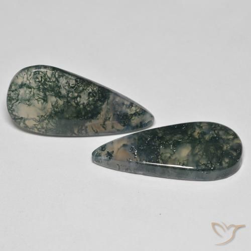 Shop natural 22.50ct Multicolore Agate mousse gems, En forme de poire, from Inde at GemSelect. In stock, global shipping!