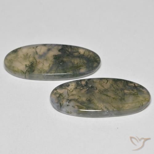 Shop natural 26.37ct Multicolore Agate mousse gems, ovale, from Inde at GemSelect. In stock, global shipping!