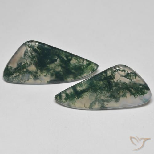 23.57ctw Naturel Multicolore Agate mousse, Fantaisie, Transparent