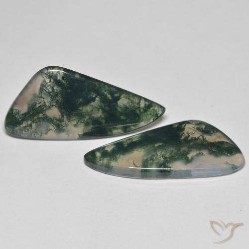 Shop natural 23.57ct Multicolore Agate mousse gems, Fantaisie, from Inde at GemSelect. In stock, global shipping!