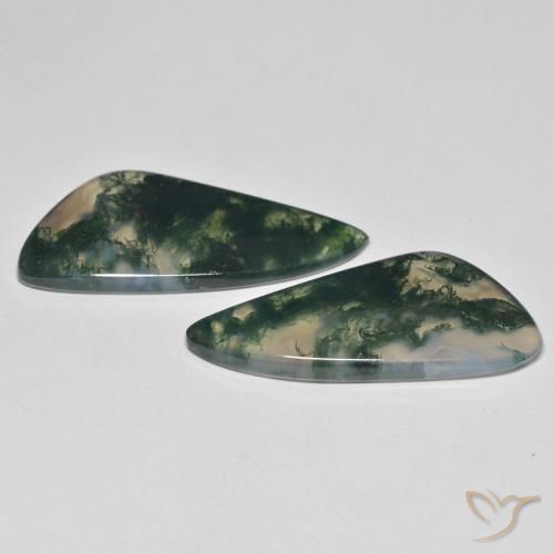 Shop natural 23.57ct Multicolore Agate mousse gems, Fantaisie, from Inde at GemSelect. In stock, global shipping!