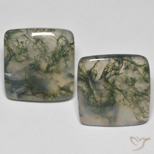 Achetez naturel 24.59ct Multicolore Agate mousse gems, Carré, En provenance Inde chez GemSelect. En stock, livraison internationale!