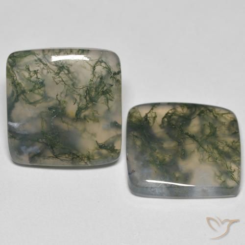 Achetez naturel 24.59ct Multicolore Agate mousse gems, Carré, En provenance Inde chez GemSelect. En stock, livraison internationale!