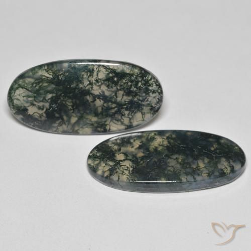 Shop natural 25.55ct Multicolore Agate mousse gems, ovale, from Inde at GemSelect. In stock, global shipping!