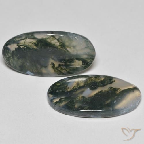 Shop natural 23.37ct Multicolore Agate mousse gems, ovale, from Inde at GemSelect. In stock, global shipping!