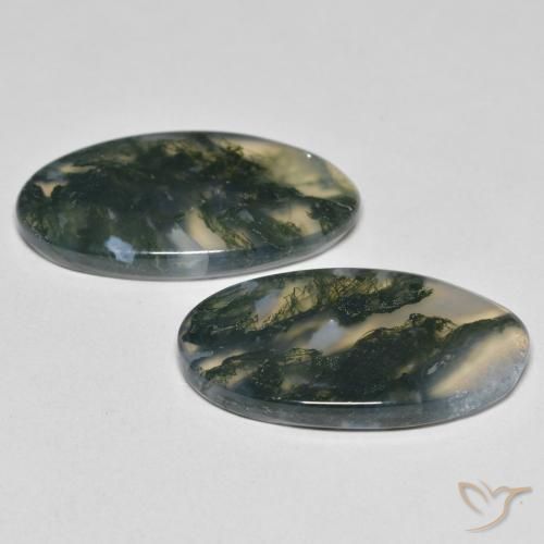 Shop natural 23.37ct Multicolore Agate mousse gems, ovale, from Inde at GemSelect. In stock, global shipping!