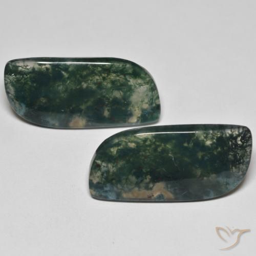 27.36ctw Naturel Multicolore Agate mousse, Fantaisie, Transparent