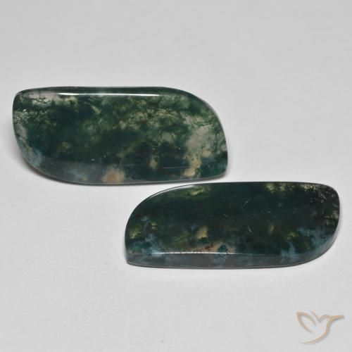 Shop natural 27.36ct Multicolore Agate mousse gems, Fantaisie, from Inde at GemSelect. In stock, global shipping!