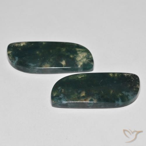 Shop natural 27.36ct Multicolore Agate mousse gems, Fantaisie, from Inde at GemSelect. In stock, global shipping!