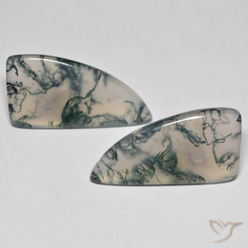 26.05ctw Naturel Multicolore Agate mousse, Fantaisie, Transparent