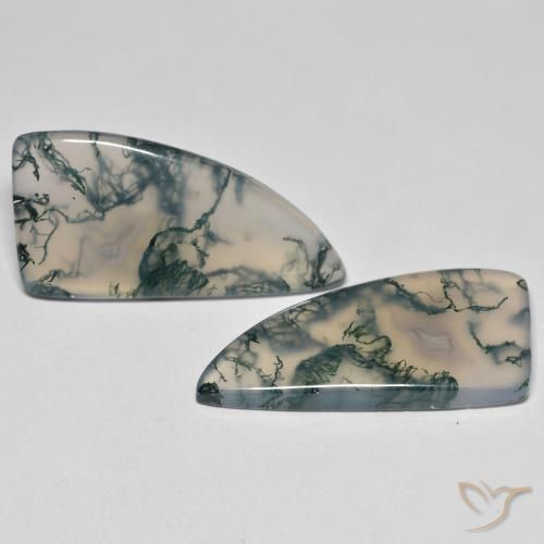 Shop natural 26.05ct Multicolore Agate mousse gems, Fantaisie, from Inde at GemSelect. In stock, global shipping!