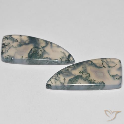 Shop natural 26.05ct Multicolore Agate mousse gems, Fantaisie, from Inde at GemSelect. In stock, global shipping!