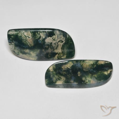 Shop natural 32.97ct Multicolore Agate mousse gems, Fantaisie, from Inde at GemSelect. In stock, global shipping!