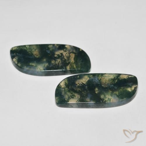 Shop natural 32.97ct Multicolore Agate mousse gems, Fantaisie, from Inde at GemSelect. In stock, global shipping!