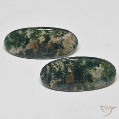 29.52ctw Naturel Multicolore Agate mousse, ovale, Transparent