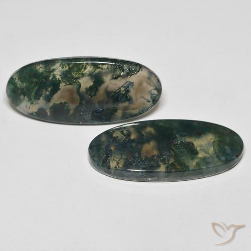 Shop natural 29.52ct Multicolore Agate mousse gems, ovale, from Inde at GemSelect. In stock, global shipping!