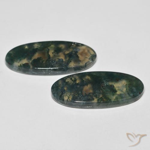 Shop natural 29.52ct Multicolore Agate mousse gems, ovale, from Inde at GemSelect. In stock, global shipping!