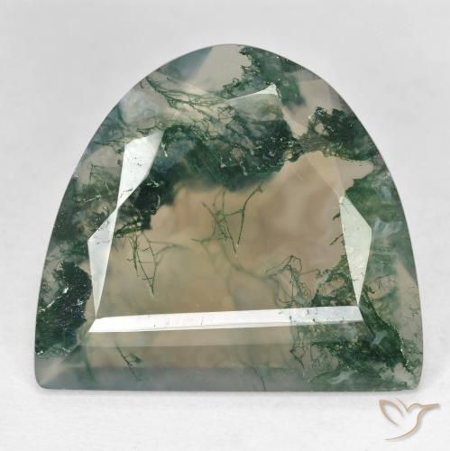 Agate mousse multicolore naturelle forme fantaisie, 18,92 ct, transparent