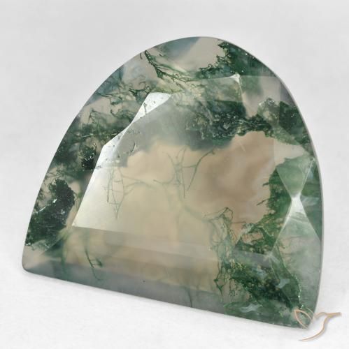 Agate mousse multicolore naturelle forme fantaisie, 18,92 ct, transparent