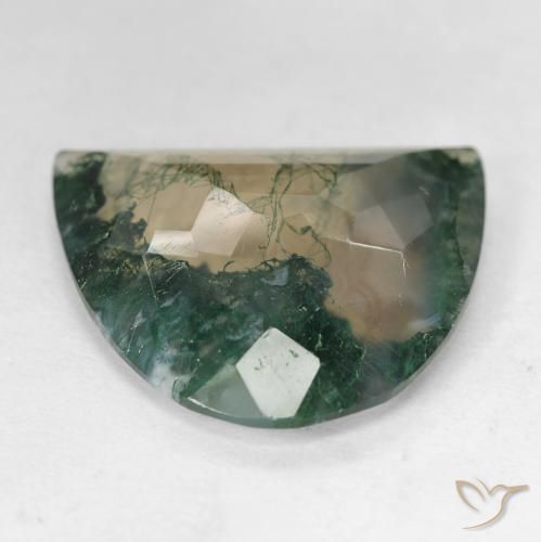 Agate mousse multicolore naturelle forme fantaisie, 18,92 ct, transparent