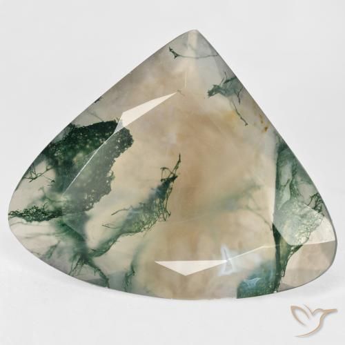 Agate mousse Multicolore naturelle En forme de poire, 29.68 ct, Transparent