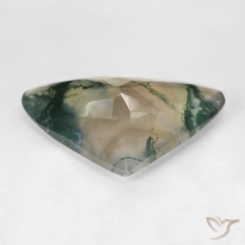 Agate mousse Multicolore naturelle En forme de poire, 29.68 ct, Transparent