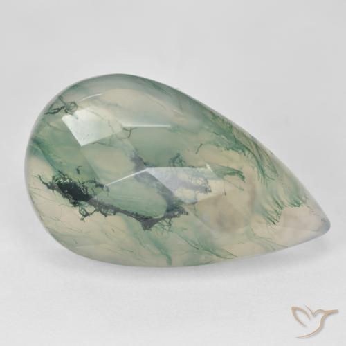 Agate mousse vert naturelle en forme de poire, 18,99 ct, translucide