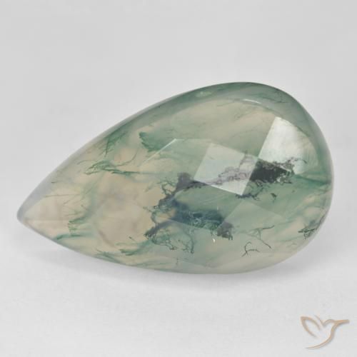 Agate mousse vert naturelle en forme de poire, 18,99 ct, translucide
