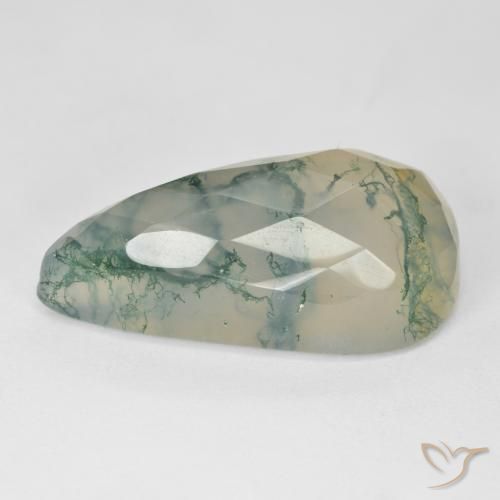 Agate mousse Vert clair naturelle Fantaisie, 19.03 ct, Translucide