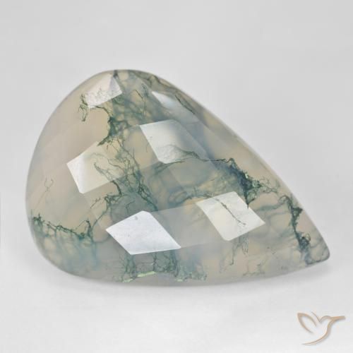Agate mousse Vert clair naturelle En forme de poire, 38.73 ct, Translucide