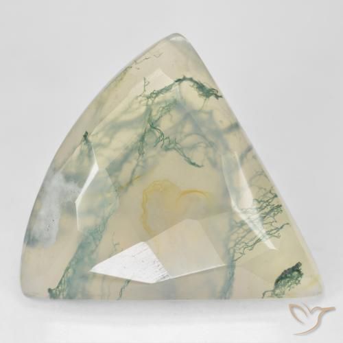 Agate mousse vert naturelle trillion, 26,18 ct, translucide