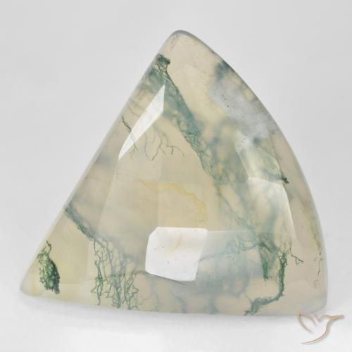 Agate mousse vert naturelle trillion, 26,18 ct, translucide