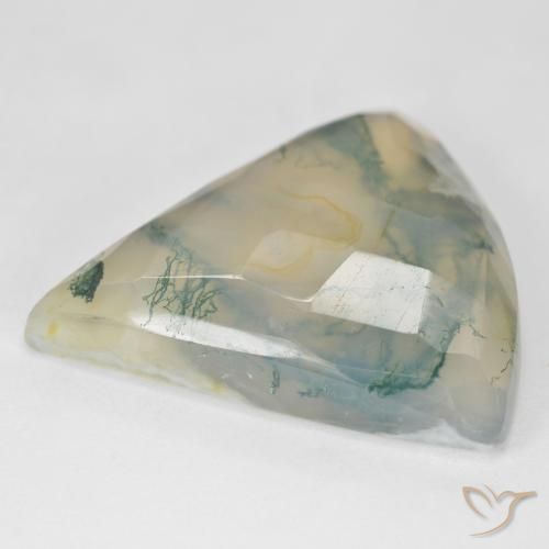 Agate mousse vert naturelle trillion, 26,18 ct, translucide