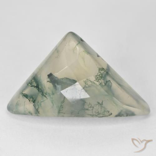 17.68ct Naturel Vert clair Agate mousse, Trillion, Translucide