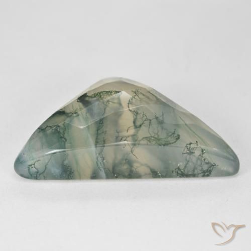 Agate mousse Vert clair naturelle Trillion, 17.68 ct, Translucide