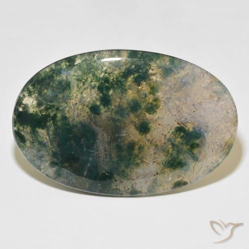 52.44ct Naturel Multicolore Agate mousse, ovale, Translucide