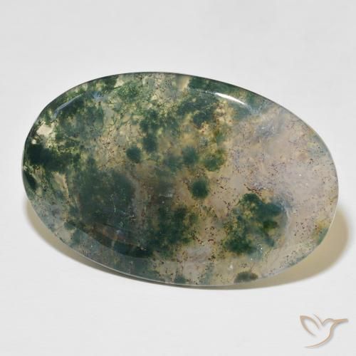 Agate mousse Multicolore naturelle ovale, 52.44 ct, Translucide