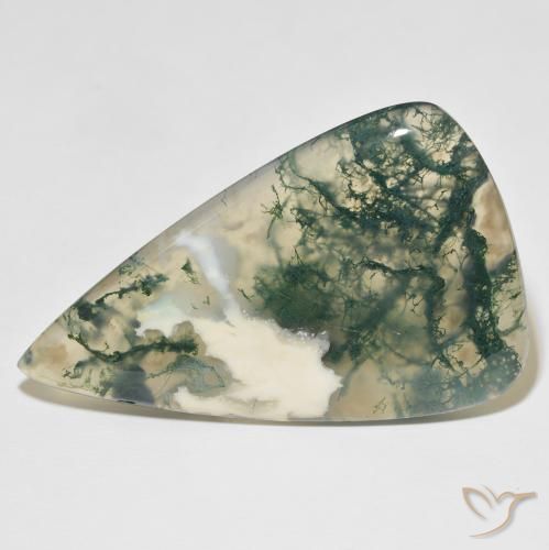 65.25ct Naturel Multicolore Agate mousse, En forme de poire, Translucide