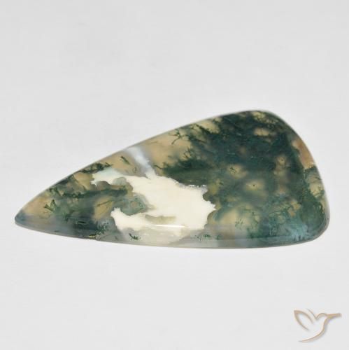 Agate mousse Multicolore naturelle En forme de poire, 65.25 ct, Translucide