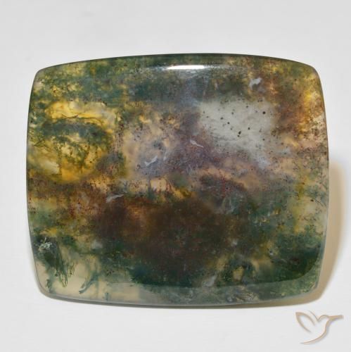 86.48ct Naturel Multicolore Agate mousse, Coussin, Translucide