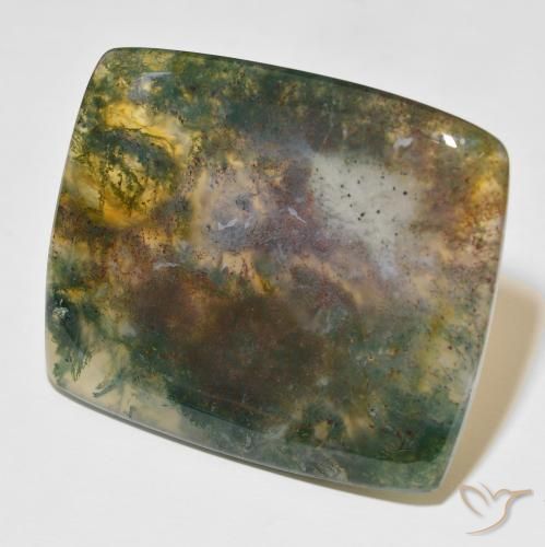 Agate mousse Multicolore naturelle Coussin, 86.48 ct, Translucide