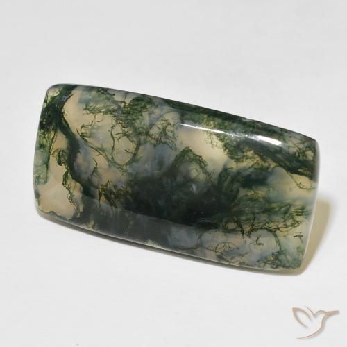 Agate mousse Multicolore naturelle Coussin, 49.99 ct, Translucide