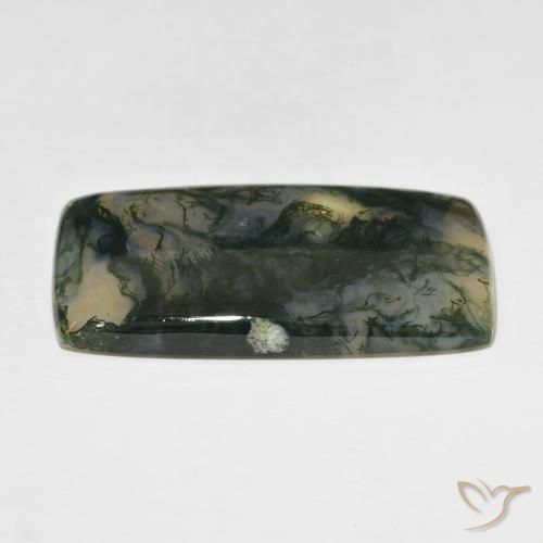 Agate mousse Multicolore naturelle Coussin, 49.99 ct, Translucide