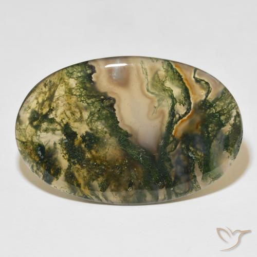 47.75ct Naturel Multicolore Agate mousse, ovale, Translucide