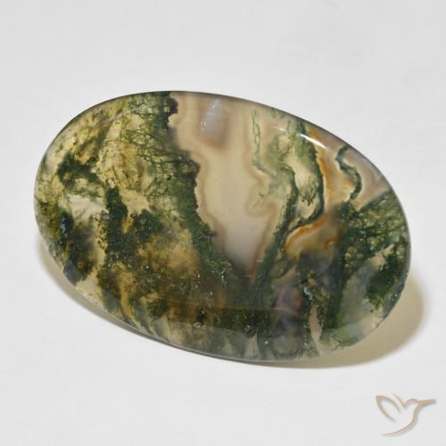 Agate mousse Multicolore naturelle ovale, 47.75 ct, Translucide