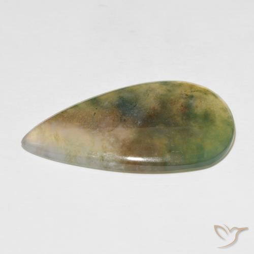 Agate mousse Multicolore naturelle En forme de poire, 39.08 ct, Translucide