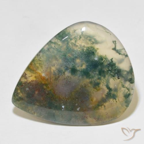 49.60ct Naturel Multicolore Agate mousse, En forme de poire, Translucide